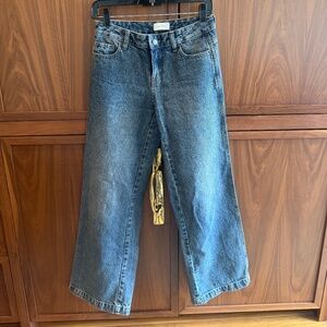 PacSun Casey Low Rise Baggy Jeans.